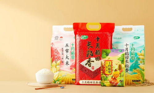 100个逆势增长的案例,读懂食品的下一个10年 fbif2024