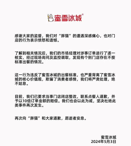 网友点外卖悼念 胖猫 ,被商家送空包糊弄 家属最新发声