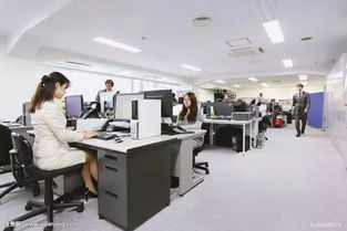 社科院强烈肯定共享模式,企业换个玩法走更远